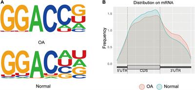 Overview of distinct N6-Methyladenosine profiles of messenger RNA in osteoarthritis